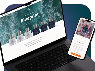 Blueprint for DSC dollar shave club