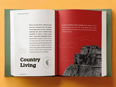 Xiol - Mayan Country Living book brand branding broker editorial identity illsutrator investment investments jaguar libro negocios photoshop