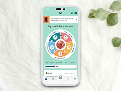 Modelo Health App app ui ux