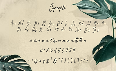 Cupicupita - Signature Font aesthetic beauty bespoke branding charming delicate elegant graceful greeting cards handwritten invitations logos natural nature organic personal signature sophisticated stylish wedding