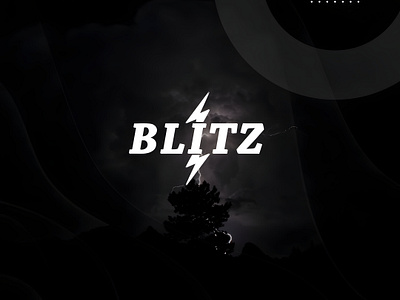 Blitz Company Logo visual identity.