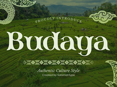 Budaya - Unique Display Font brand branding creative culture design elegant font freefonts graphic design logo products stylish typeface ui unique