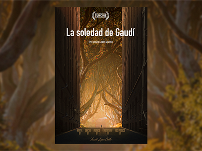 Documentary Poster Design Concept "La soledad de Gaudí" adobe photoshop graphic design poster design visual design