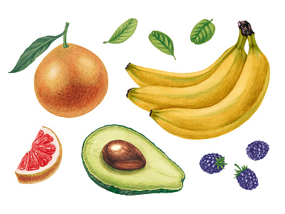Set of illustrations for supplement labels avocado banana drawing fruit grapefruit graphic design illustration label leaf organic seed vegetable vintage