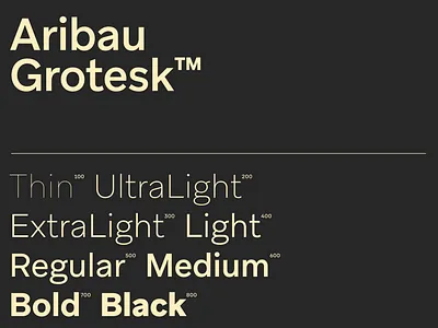 Aribau Grotesk Typeface yellow