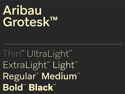 Aribau Grotesk Typeface yellow