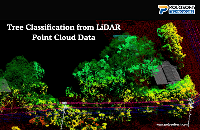 Tree Classification from LiDAR Point Cloud Data lidar tree classification