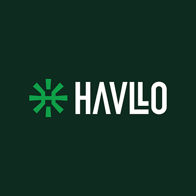 Havllo Clothing Logo branding clothing fashion fashion logo h logo h monogram logo snow flake sun sun logo
