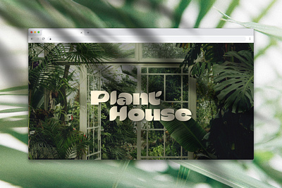 PLANT:HOUSE BRANDING branding