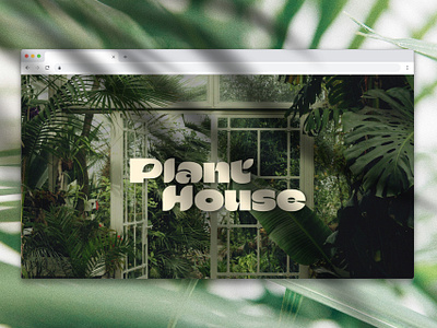 PLANT:HOUSE BRANDING branding