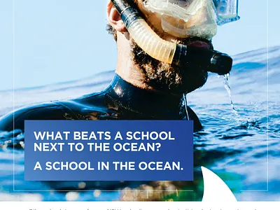 NSU Print advertising graphic design print