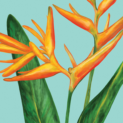Flower Painting for Skincare Packaging beauty beauty packaging botaical botanical illustration botanical painting cosmetic cosmetic packaging flower flower drawing flower painting heliconia orange organic packaging painting plant skincare sunscreen tropical tropical plant
