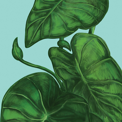 Painterly Leaves beauty botanical brush strokes cosmetic digital drawing green illustration illustration art illustrator leaf leaves organic packaging painterly painting plant skincare texture tropical