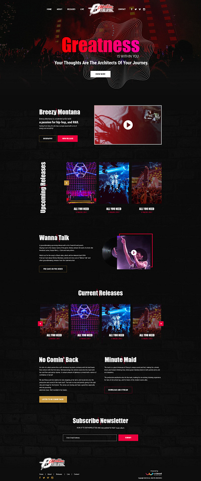 Music website Design graphic design ui ui design web design