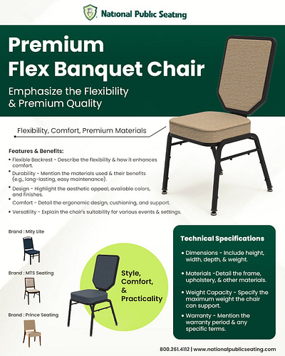Premium Flex Chair Concept | NPS