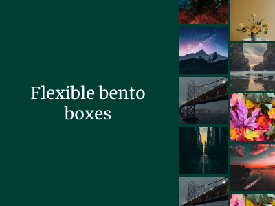 Flexible bento boxes designer figma design product design uiux designer