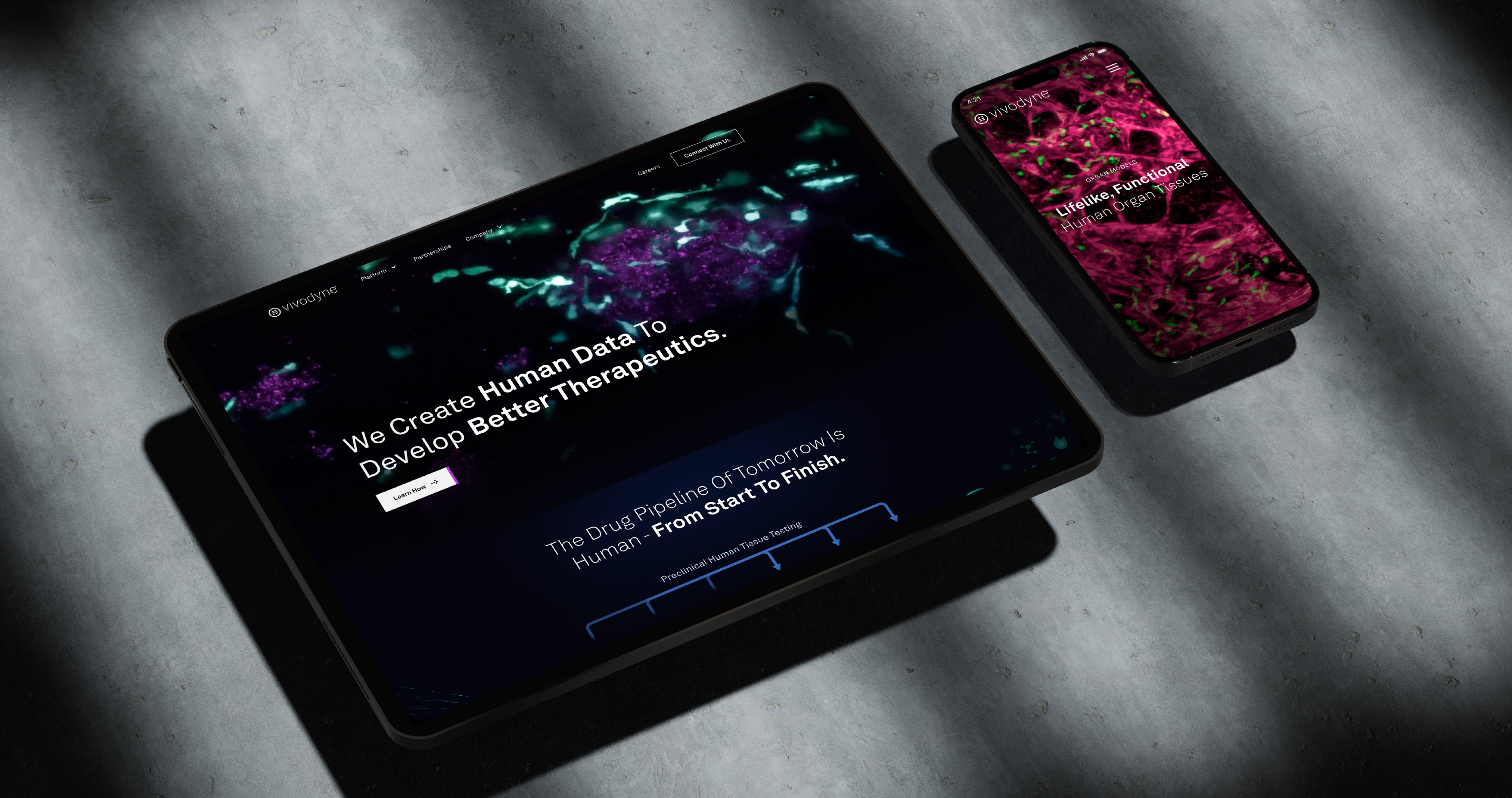 Vivodyne: Rebranding and Web Design of Biotech Giant branding