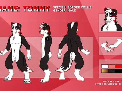 Border Collie Dog Furry Ref Sheet Art by Maniac_Designz animalart bordercollie bordercollielove bordercollielovers bordercollieofinstagram commissionsopen2024 customart digitalart dogart dogcommissions dogillustration doglover furryart furryartist furryfandom maniac designz petportraits