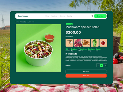 Salad House Website design agency website app best ui design branding design food illustration kitchen landing page landingpagedesign logo restaurant salad ui website design