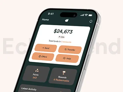 EchoSpend - Home Dashboard Screen animation app mobile app motion graphics ui ux