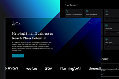 The E Com Lab design landing page porfolio ui