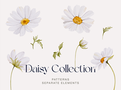 Watercolor Daisy Seamless Pattern aesthetic flowers botanical watercolor daisy digital paper daisy illustration daisy seamless pattern daisy watercolor pattern delicate watercolor elegant wildflowers watercolor white flowers