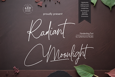 Radiant Moonlight Font branding calligraphy design font handwritten logo script font typeface