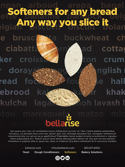 BellaRise B2B Print Ad Collection b2b branding collage digital art graphic design marketing photocompositing print