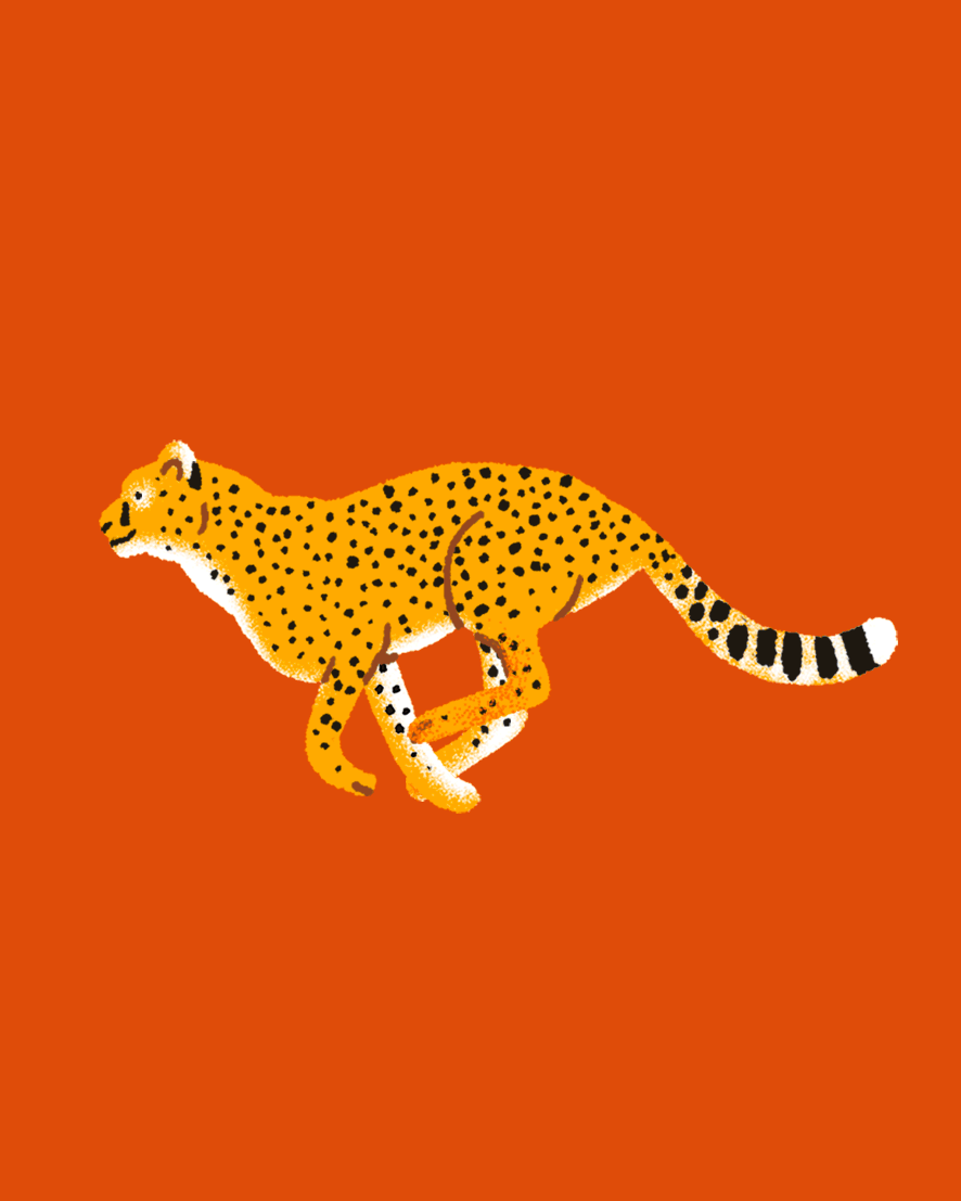 Animals in Motion by Folio Illustration Agency on Dribbble