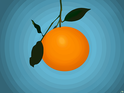 Orange 🍊 aesthetic art background design graphic design illustration orange illustration