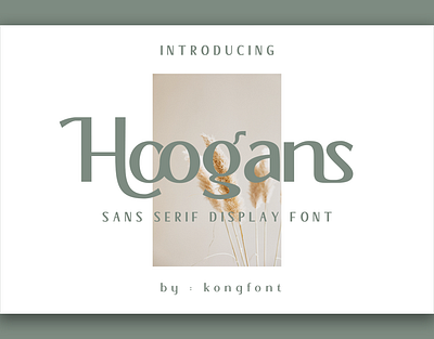 Hoogans - Modern Sans Serif Font branding design font handwritten illustration italic logotype script typeface ui