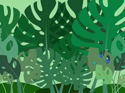 World Rainforest Day 2024 animated svg animation ara parrot beginners animation design illustration parrot planet earth rainforest save the earth save the nature svg svgator vector graphics vectorial art world rainforest day