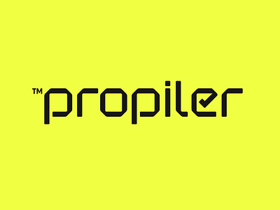 Propiler Equipment Organizer branding graphic design logo