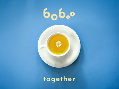 boboo brand accessories branding creative design design illustration logo