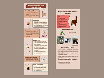 Llama Adventure Guide: An Informative Poster for Farm Visitors app design graphic design illustration logo poster poster design sketch typography