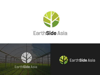 EARTHSIDE ASIA LOGO DESIGNS branding design earth earthside asia global graphic design jrraystudio logo nature vector