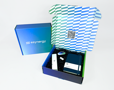 eSynergy Packaging box branding design esynergy gift graphic design logo packaging pattern sticker template welcome