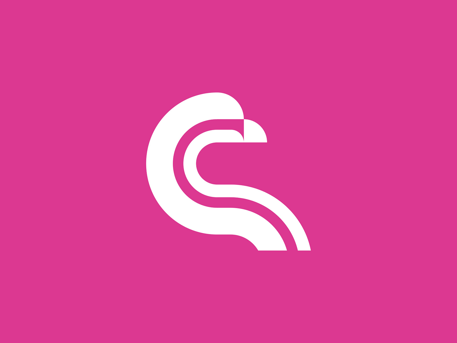 flamingo-by-aayush-vyas-on-dribbble