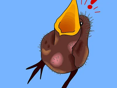 Bird RGDB animals art drawing illustration pets
