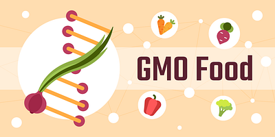 Delving into the world of GMO foods! 🌽🔬 agriculture biotechnology crop yields farming technology flat illustration food production food science food security genetic engineering genetically modified gmo healthy eating illustration innovation modern agriculture science sustainable farming technology vector vector illustration