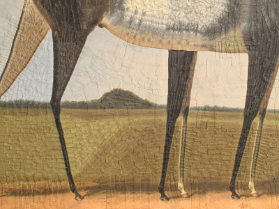 Horse in a meadow after Alois Bach, detail collage detail illustration legs