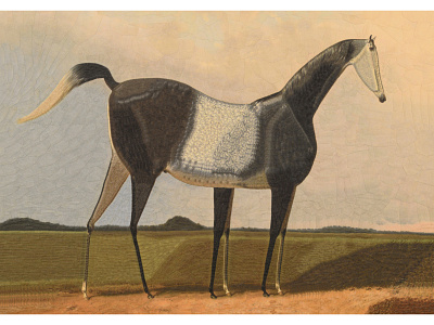 Horse in a meadow after Alois Bach collage illustration legs portrait studio