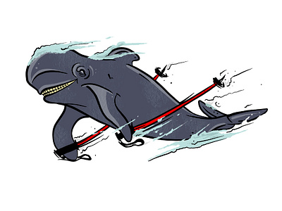 salute the whale. graphic design illustration