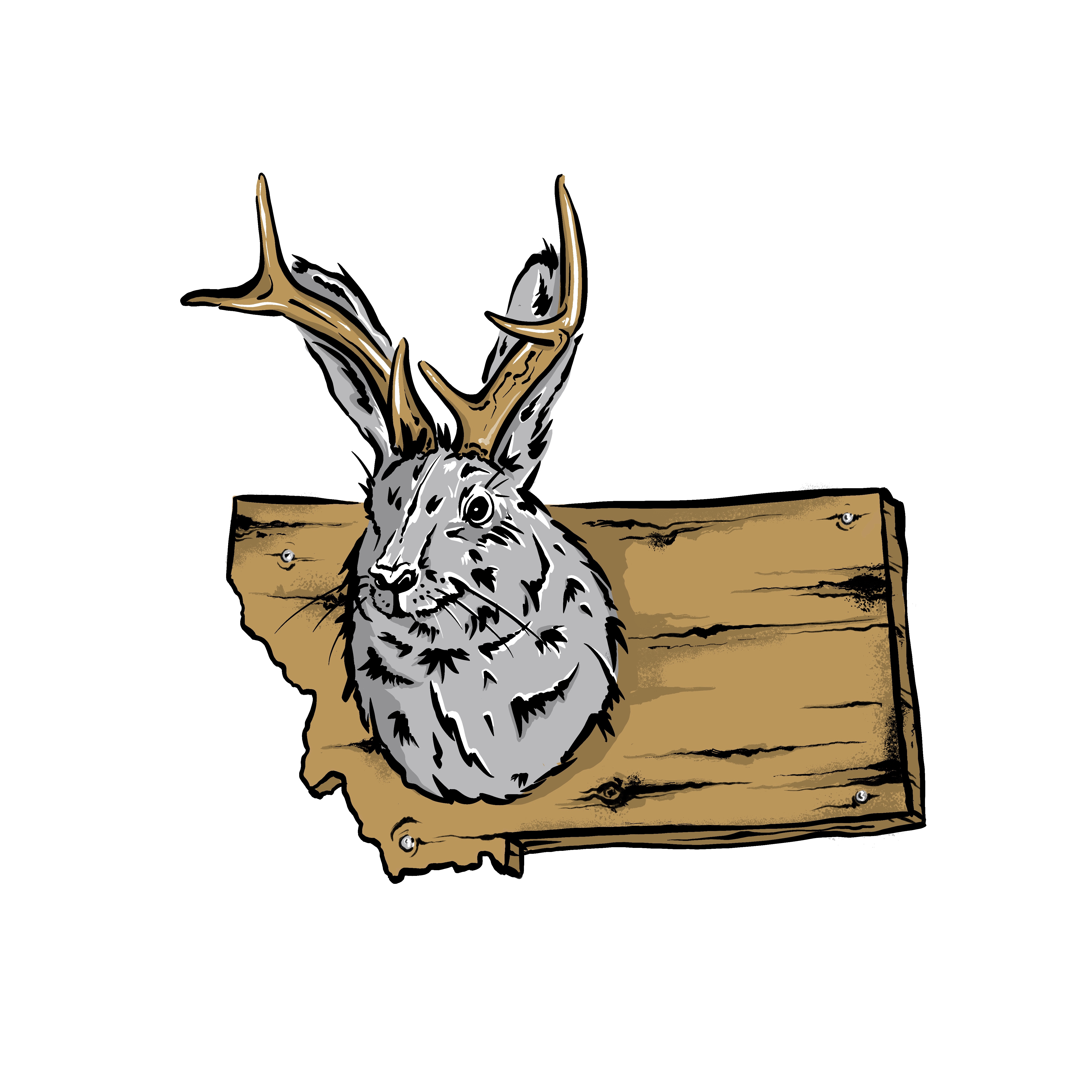 jackalope.