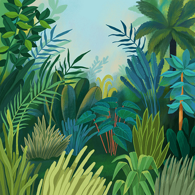 Jungle adventure branding design drawing forest illustration jungle kidlit packaging picturebook plants puzzle rainforest tropical wallpaper
