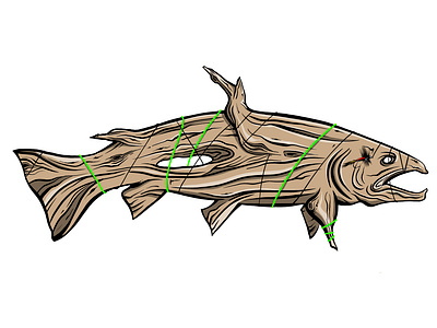 driftfish. graphic design illustration