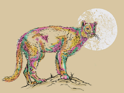 lion.