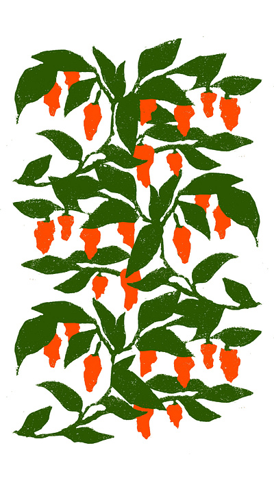 Ghost Pepper Jelly Illustration branding food gardening illustration printmaking texture