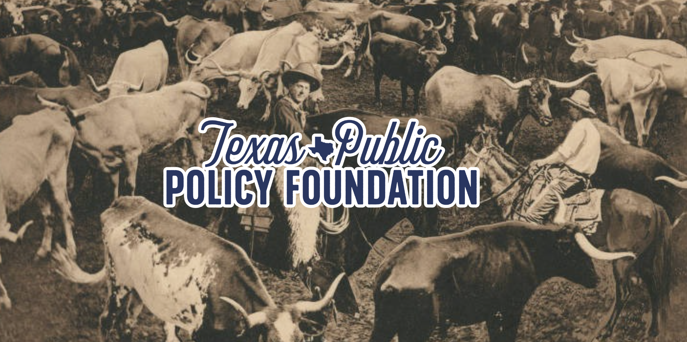 Rebrand for The Texas Public Policy Foundation branding graphic design logo nonprofit policy texas western