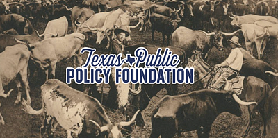 Rebrand for The Texas Public Policy Foundation branding graphic design logo nonprofit policy texas western